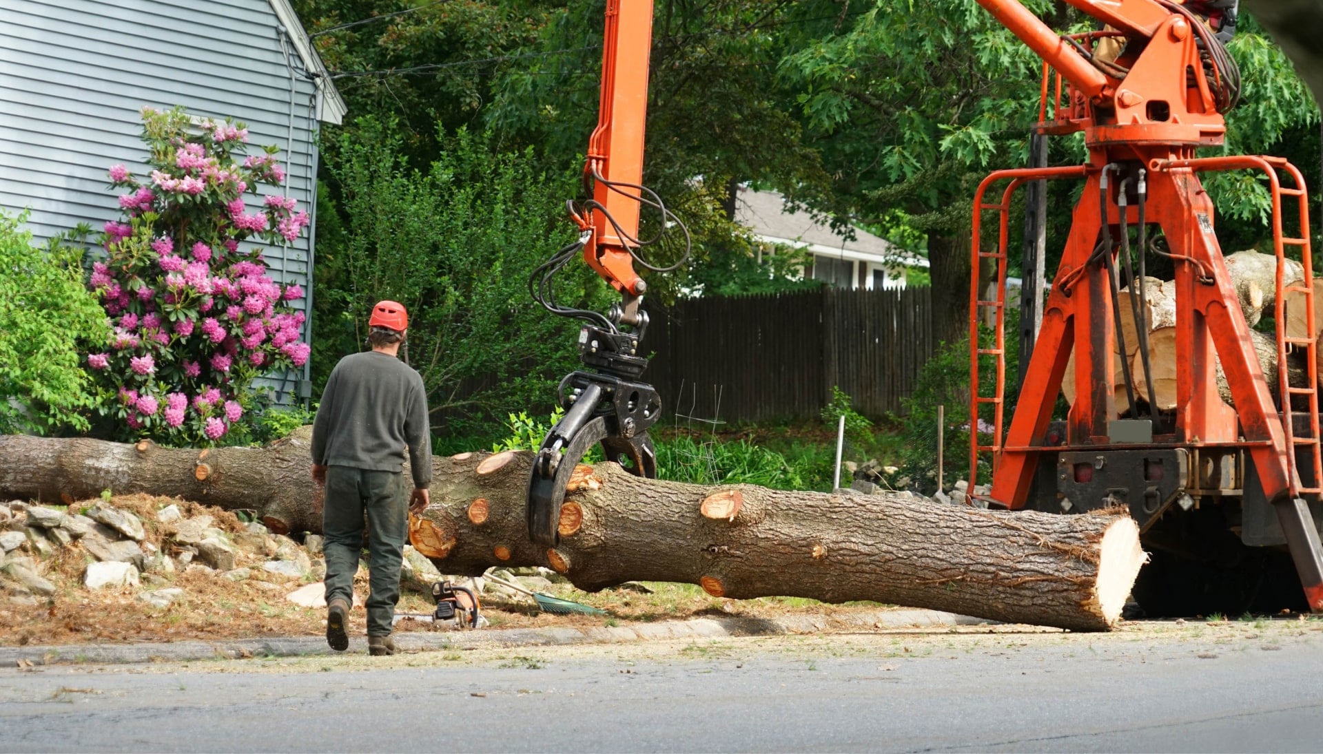 Local partner for Tree removal services in Murray