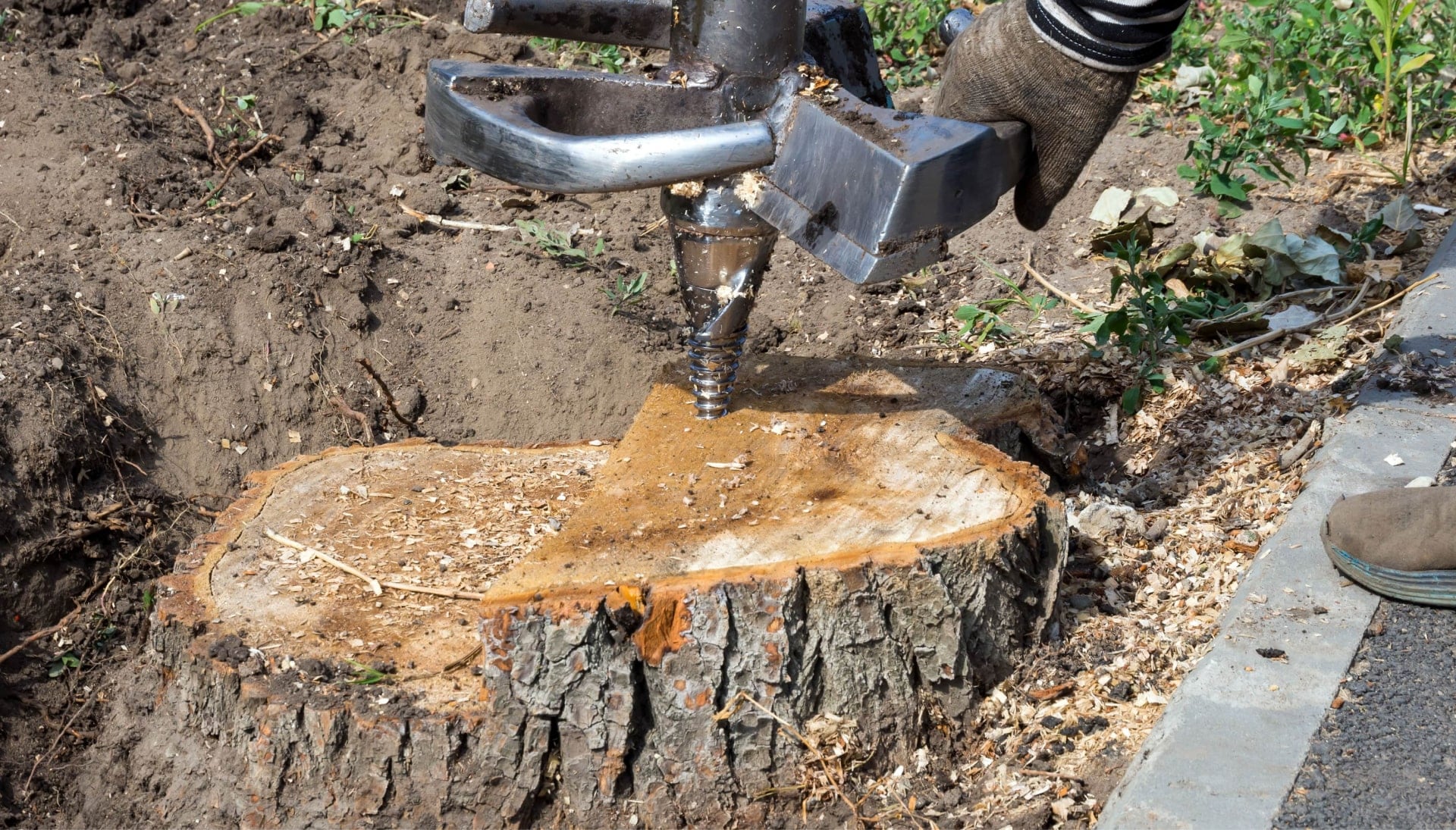 Murray Tree stump removal
